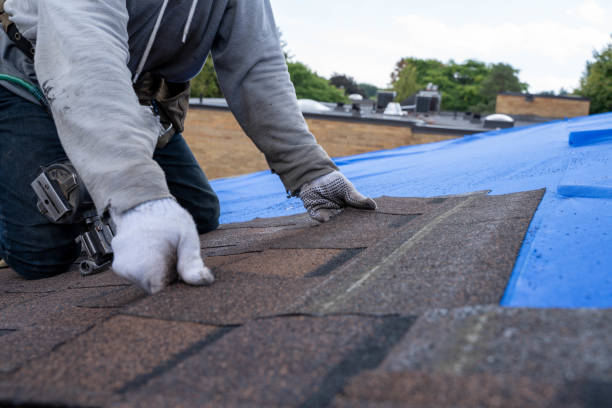 Best Gutter Installation and Roofing  in Elkton, VA