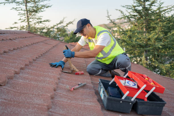Best Roof Maintenance Services  in Elkton, VA