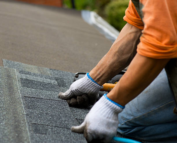 Best Roof Leak Repair  in Elkton, VA